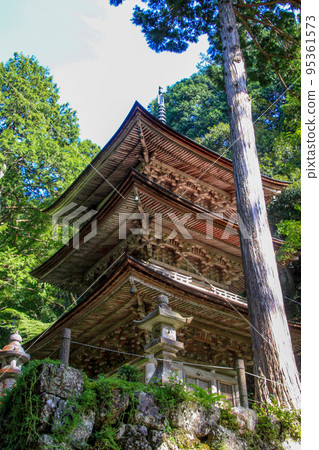 Bothing Mountains Yokodoji 95361573