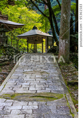 Bothing Mountains Yokodoji 95361583