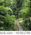 Descending stairs surrounded by fresh greenery 95361796