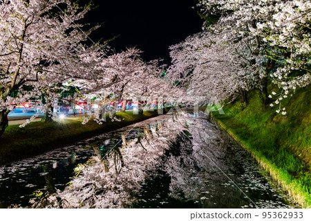 青森縣弘前公園夜景～外護城河映襯著盛開的櫻花～ 95362933