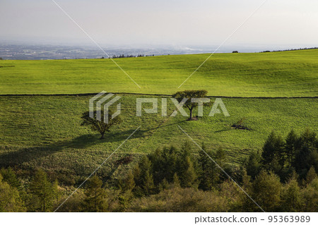 Naitai Takahara Ranch Naitai Takahara Ranch 95363989