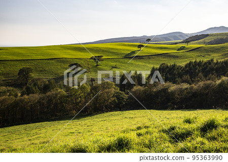 Naitai Takahara Ranch Naitai Takahara Ranch 95363990