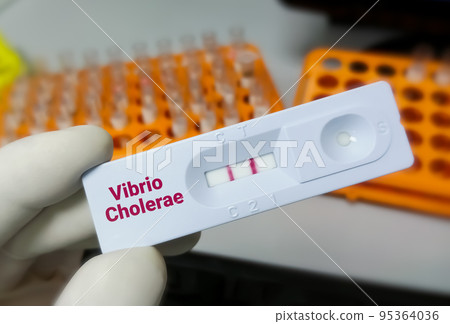 Rapid test device or cassette for Vibrio cholerae test, show positive result. 95364036