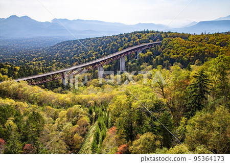 Matsumi Ohashi 95364173