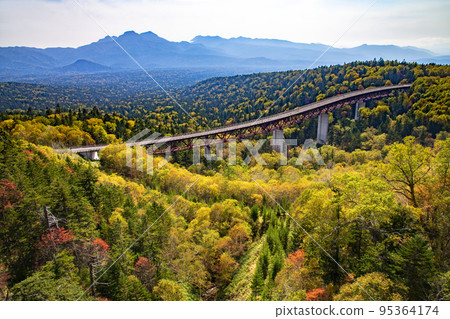 Matsumi Ohashi 95364174