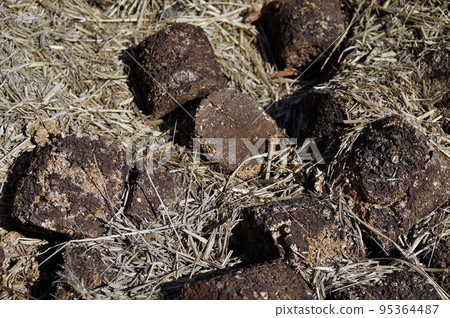 自製堆肥 易分解有機物 分解 1 95364487