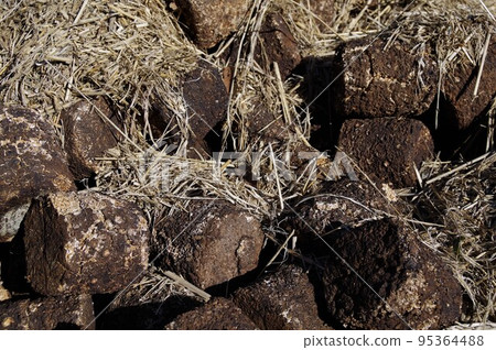 自製堆肥 易分解有機物 分解 2 自製堆肥 易分解有機物 分解 2 95364488