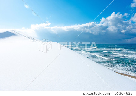 鳥取沙丘的雪景 95364623