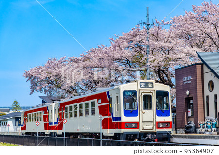 Kirikiri Station, Sanriku Railway, Iwate Prefecture ~Train stopping at a station with cherry blossoms in full bloom~ Kirikiri Station, Sanriku Railway, Iwate Prefecture ~Train stopping at a station with cherry blossoms in full bloom~ 95364907