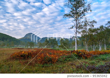 Dawn of the marsh Dawn of the marsh 95365042