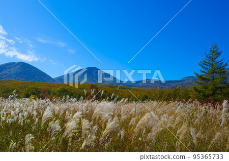 Mountain from Tashirodaira Mountain from Tashirodaira 95365733