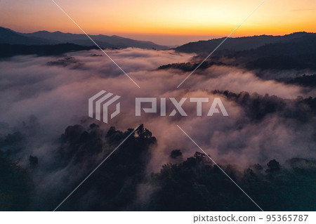 Morning fog and clouds in the hill forest Morning fog and clouds in the hill forest 95365787