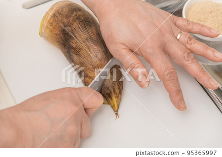 [Preparation for removing bamboo shoots] 95365997