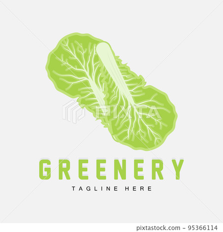Chinese cabbage Logo Design Green Plant Vector Kimchi Food Ingredients Chinese cabbage Logo Design Green Plant Vector Kimchi Food Ingredients 95366114