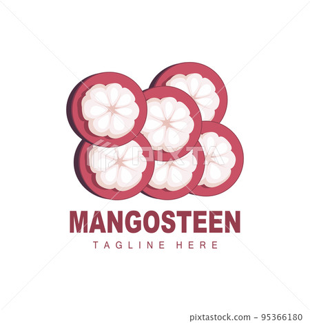 Mangosteen Logo Design, Fresh Fruit Vector for Skin Health, Fruit Shop Brand Illustration And Natural Skin Medicine 95366180