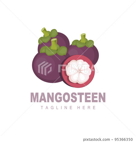 Mangosteen Logo Design, Fresh Fruit Vector for Skin Health, Fruit Shop Brand Illustration And Natural Skin Medicine 95366350