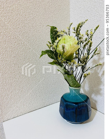 Carnation Carnation 95366703