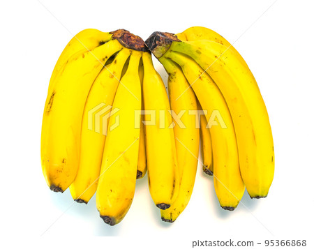 A branch of yellow bananas on a white background. A branch of yellow bananas on a white background. 95366868