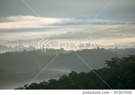 Aerial view Beautiful panorama of morning scenery Golden light sunrise And the mist flows on high mountains forest. Pang Puai, Mae Moh, Lampang, Thailand. Aerial view Beautiful panorama of morning scenery Golden light sunrise And the mist flows on high mountains forest. Pang Puai, Mae Moh, Lampang, Thailand. 95367006