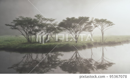 Akagiyama, Kakumanbuchi surrounded by morning mist [Gunma Prefecture] 95367078
