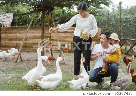 Happy family father, mother and son feed duck at farm. Happy family father, mother and son feed duck at farm. 95367453