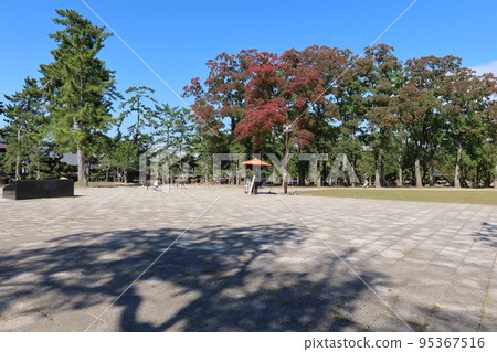 Nara Park and wild deer in Nara City 95367516
