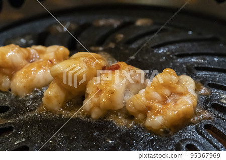 Wagyu offal [Tecchan] 95367969