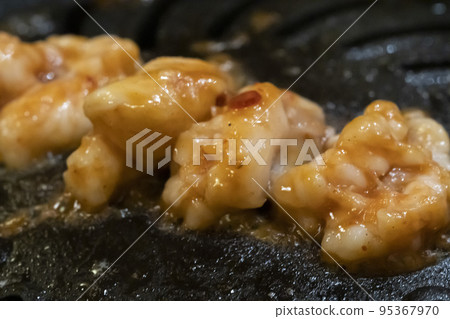 Wagyu offal [Tecchan] 95367970