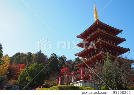 秋葉上色的高畑樓五層寶塔 秋葉上色的高畑樓五層寶塔 95368295