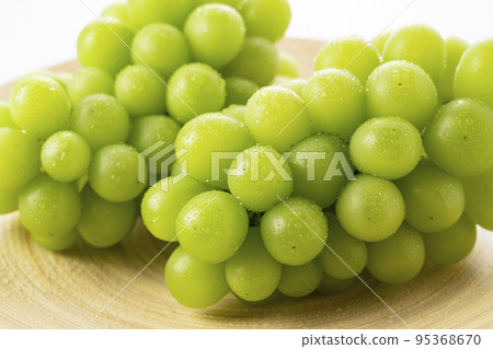 閃耀馬斯喀特 閃耀馬斯喀特 95368670