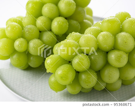 Shine Muscat Shine Muscat 95368671