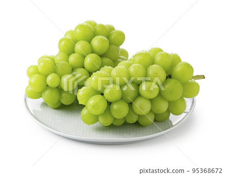 Shine Muscat Shine Muscat 95368672