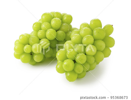 閃耀馬斯喀特 閃耀馬斯喀特 95368673