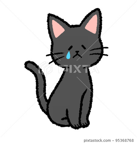 Crying black cat 95368768