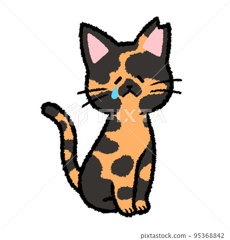 Female sabi cat with ear cut 95368842