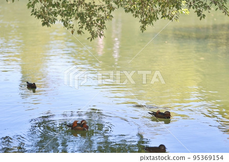 Autumn trip, Namwon trip, Gwanghallu 95369154