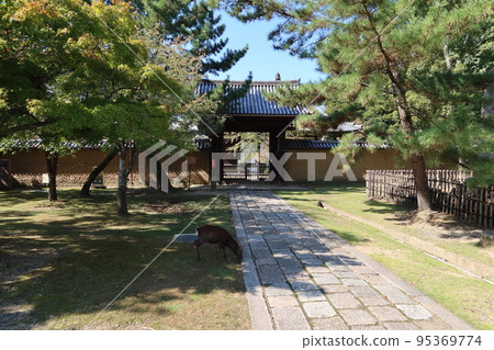 Shrines and Temples in Nara City: Scenery at the entrance to the grounds of Kangakuin and Honbo in the precincts of Todaiji Temple 95369774