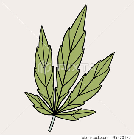 simplicity cannabis leaf freehand drawing. simplicity cannabis leaf freehand drawing. 95370182