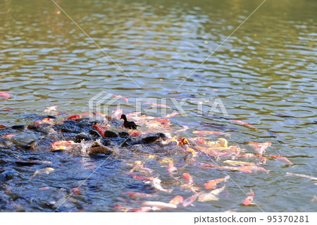 Autumn trip, Namwon trip, Gwanghallu 95370281