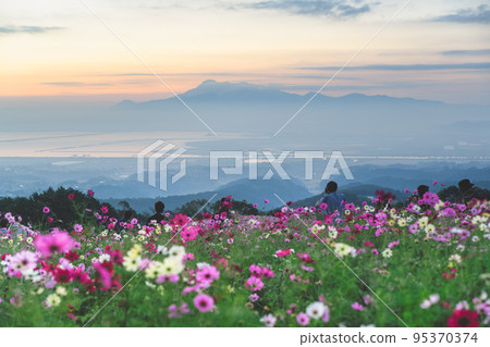 秋天的白木峰高原 Cosmos 諫早長崎 秋天的白木峰高原 Cosmos 諫早長崎 95370374