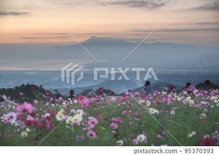 Autumn Shirakimine Kogen Cosmos Isahaya Nagasaki Autumn Shirakimine Kogen Cosmos Isahaya Nagasaki 95370393