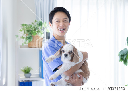 Vet and cavalier 95371350