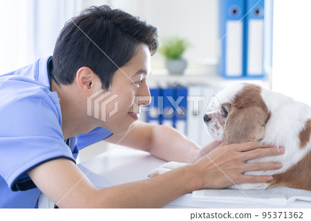 Vet and cavalier Vet and cavalier 95371362