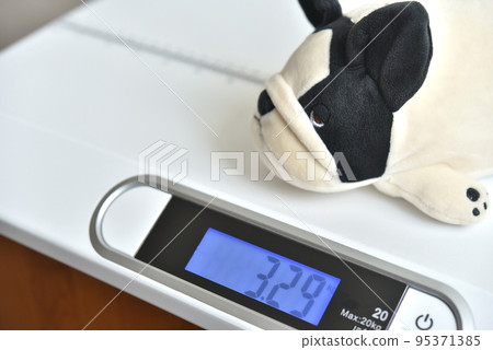 Animal weight measurement (image) Animal weight measurement (image) 95371385