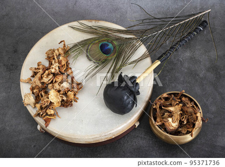 tambourin and mushroom in studio 95371736