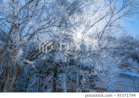[稀有材料]冬季上高地白霜[長野縣] 95371794