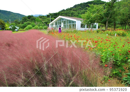 秋季旅行，Pink Muhly，咖啡廳 95371920