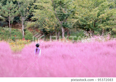 秋季旅行,花園,咖啡廳 秋季旅行,花園,咖啡廳 95372083
