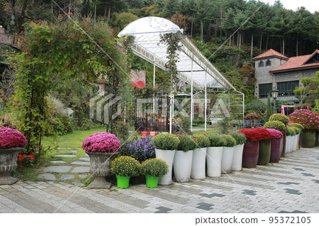 秋季旅行，花園，咖啡廳 95372105