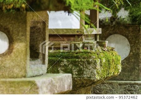 青苔石燈籠特寫【春日大社前】 95372462